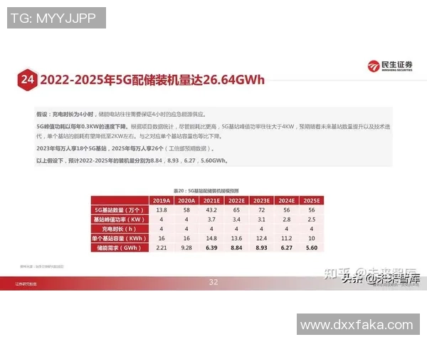 数据分析视角下LNG市场配合表现的深度探讨与未来趋势分析
