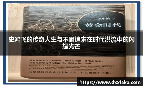 史鸿飞的传奇人生与不懈追求在时代洪流中的闪耀光芒